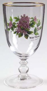 Royal Worcester Worcester Herbs Green Trim 14 Oz Glassware Goblet, Fine China Di