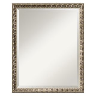 J and S Framing LLC Argento Wall Mirror   25W x 31H in. Multicolor   DSW01619