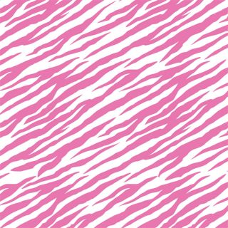 Bright Pink Zebra Striped Tissue Paper